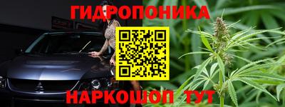 ПСИЛОЦИБИНОВЫЕ ГРИБЫ Ачхой-Мартан