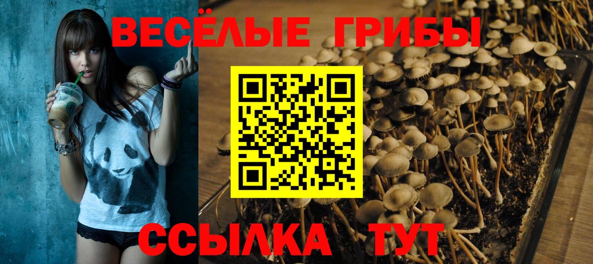 Белебей  Псилоцибиновые грибы ЛСД  Вход с VPN 