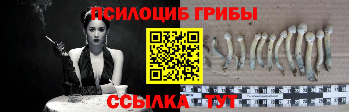 Галлюциногенные грибы мицелий Белебей